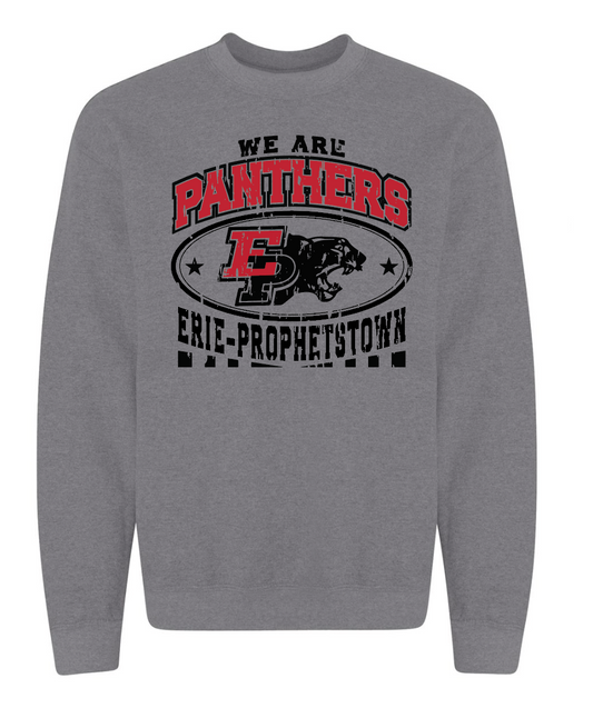We Are Panthers