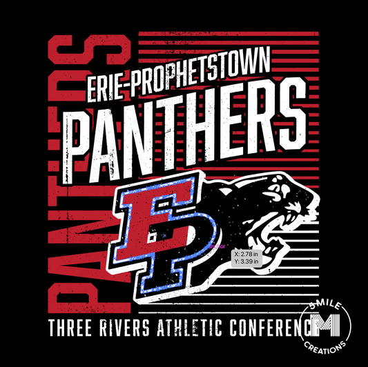 Vintage Panthers Shirt